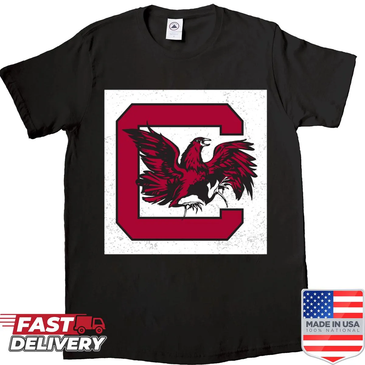 Illustrated shirt showcasing the beauty of South Carolina