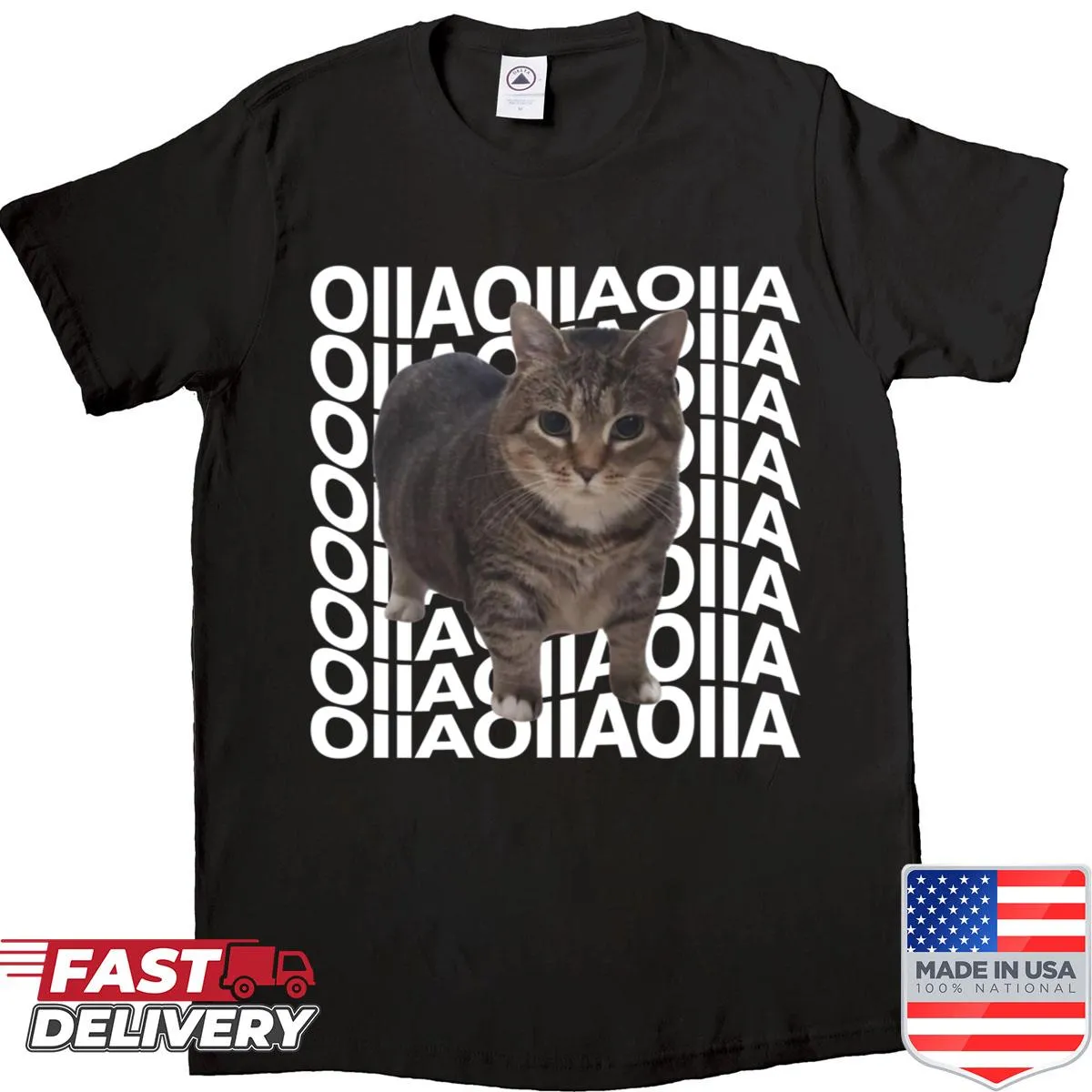 Funny cat lover shirt featuring the 'Spinning Cat Meme Oiiaoiia'