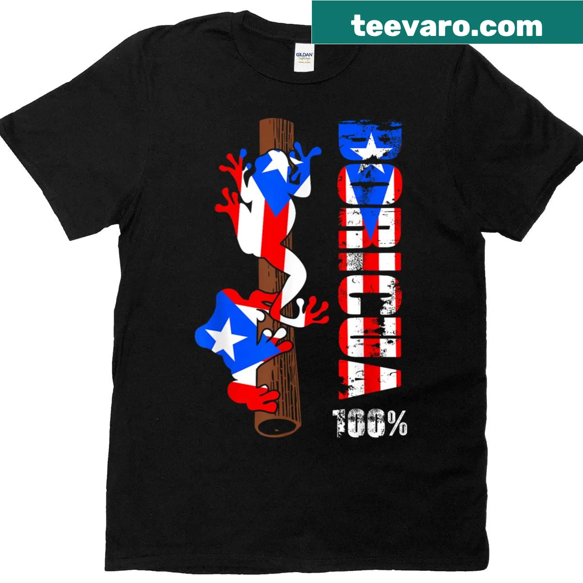 Coqui frog with Puerto Rican flag graphic on a T-shirt — on a men's t-shirt