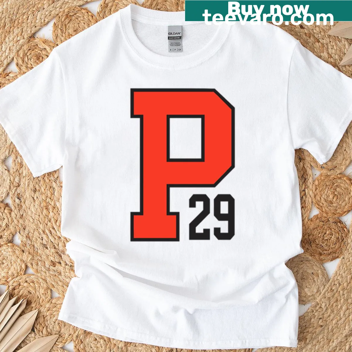 Princeton University Class of 2029 emblem on t-shirt — on a men's t-shirt