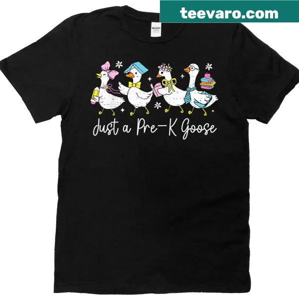 Cute T-shirt featuring a goose design for preschoolers starting school
