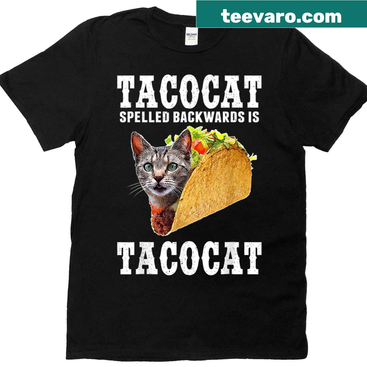 Funny Tacocat graphic t-shirt with clever wordplay — on a men's t-shirt
