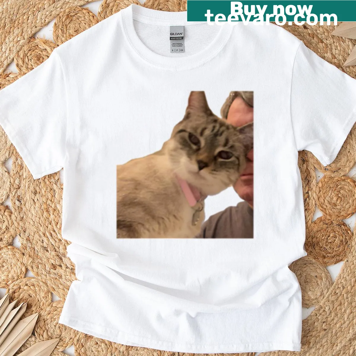 Funny oversized t-shirt featuring an insulted cat graphic — on a men's t-shirt