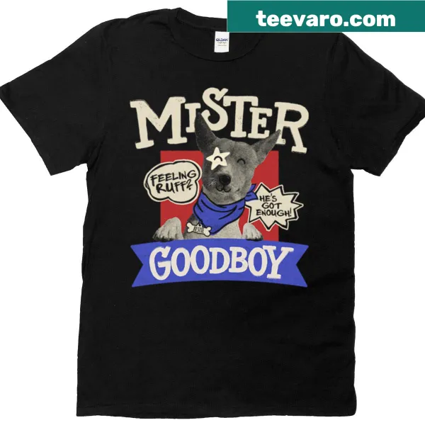 Cute oversized t-shirt featuring a dog illustration and the text 'Mister Goodboy'