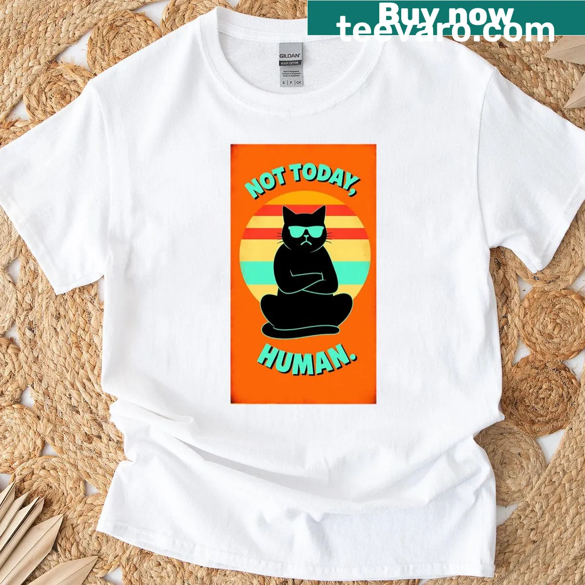 Vintage-style cat shirt with 'Not Today Human' text against a sunset — on a men's t-shirt