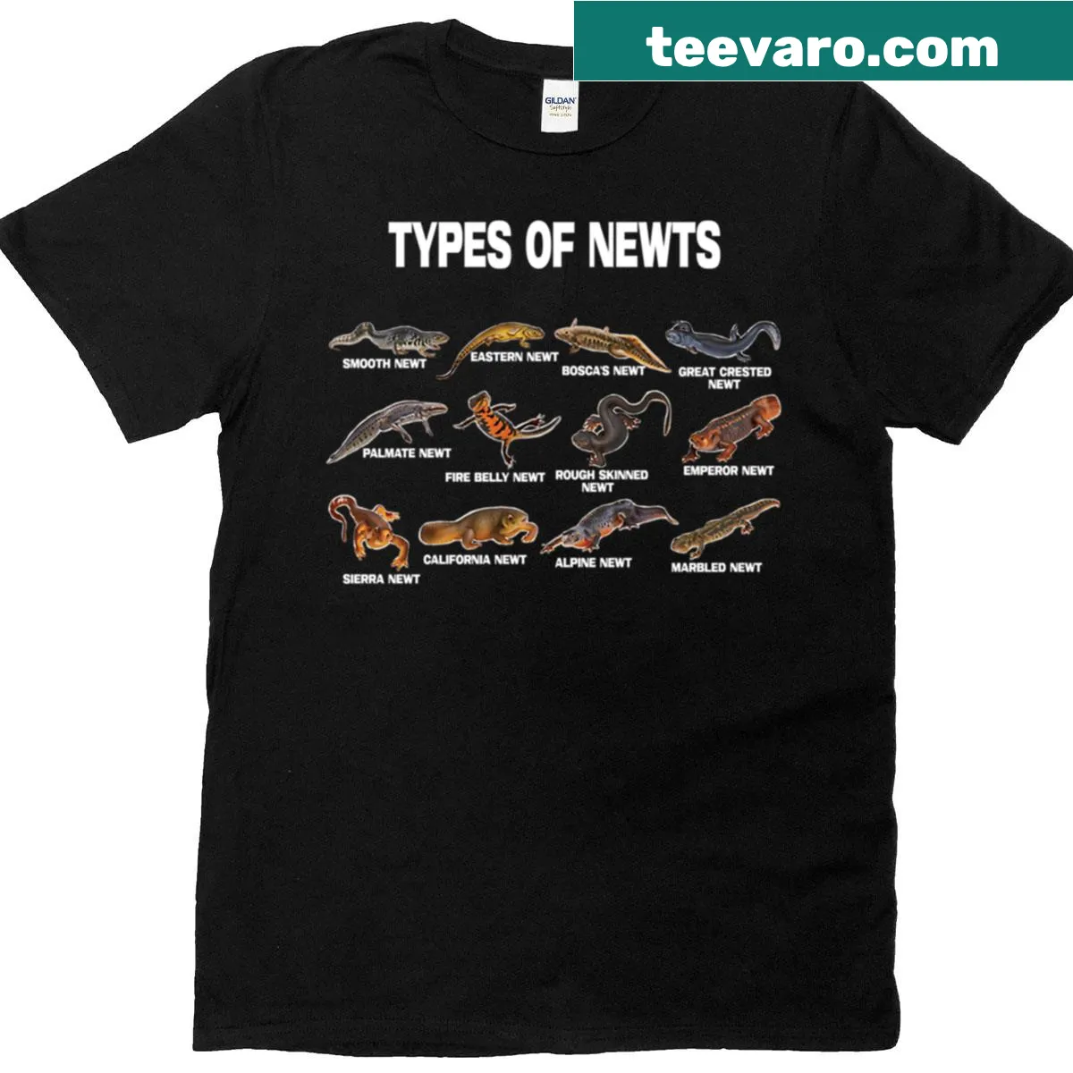 Illustrated t-shirt showcasing various types of newts — on a men's t-shirt