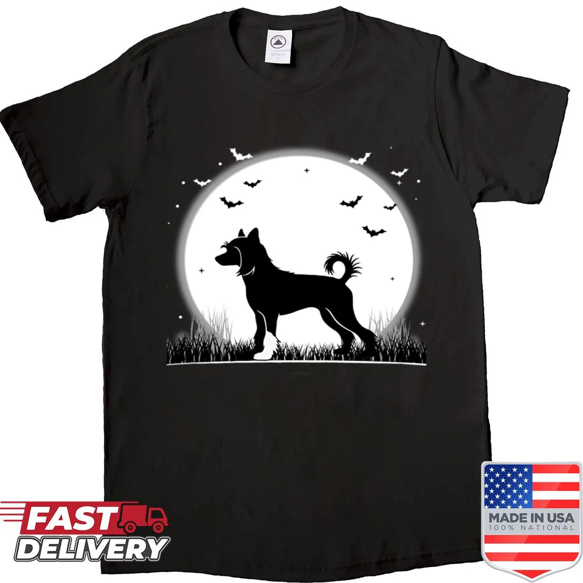 Silhouette of a Chinese Crested dog with a moon background