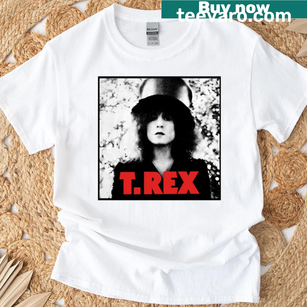 Cartoon T-Rex sliding graphic T-shirt — on a men's t-shirt