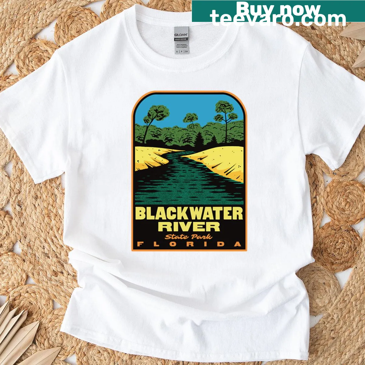 Retro design representing Blackwater River State Park in Florida on a t-shirt — on a men's t-shirt