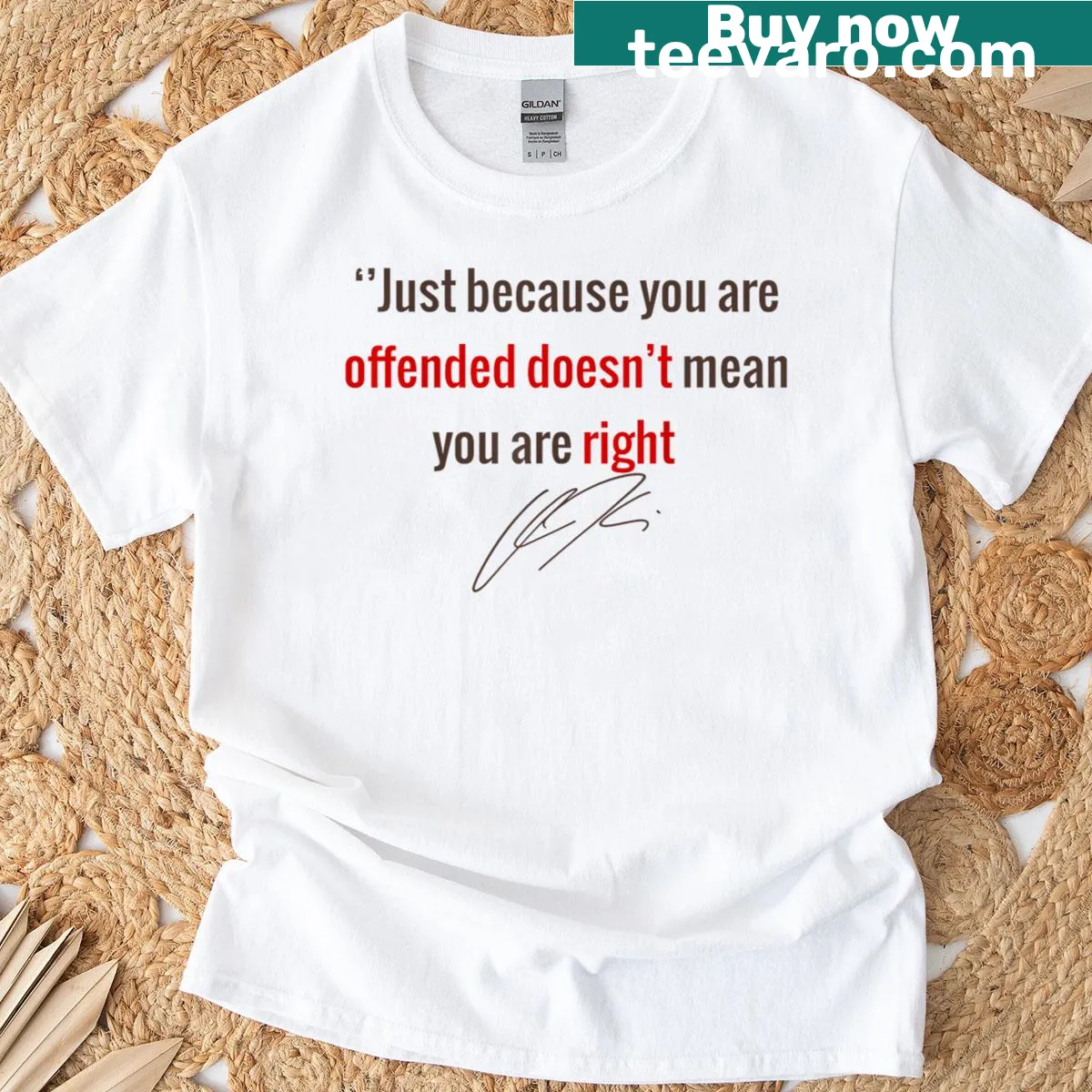 Sarcastic T-shirt with the phrase: 'Just Because You Are Offended Doesn't Mean You're Right' — on a men's t-shirt