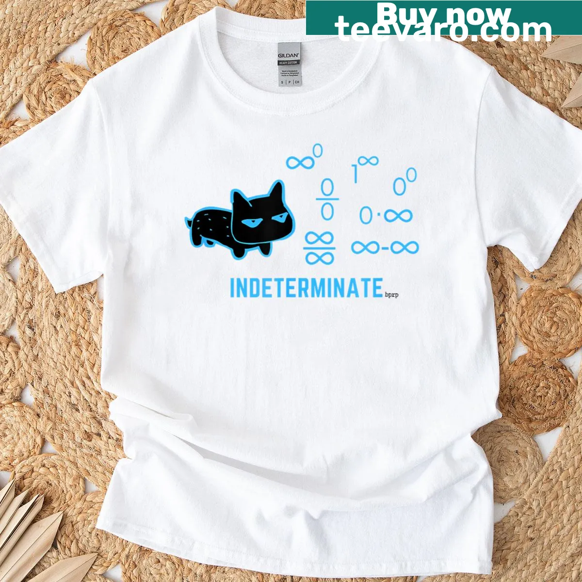 Cat-themed calculus graphic T-shirt for math lovers — on a men's t-shirt