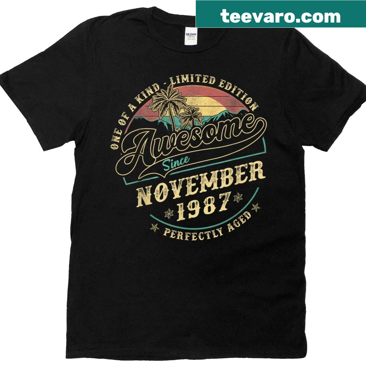 Retro T-shirt celebrating a 38th birthday with November 1987 — on a men's t-shirt