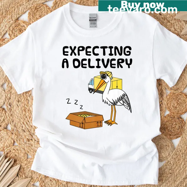 Stork carrying a baby graphic on a pregnancy announcement T-shirt