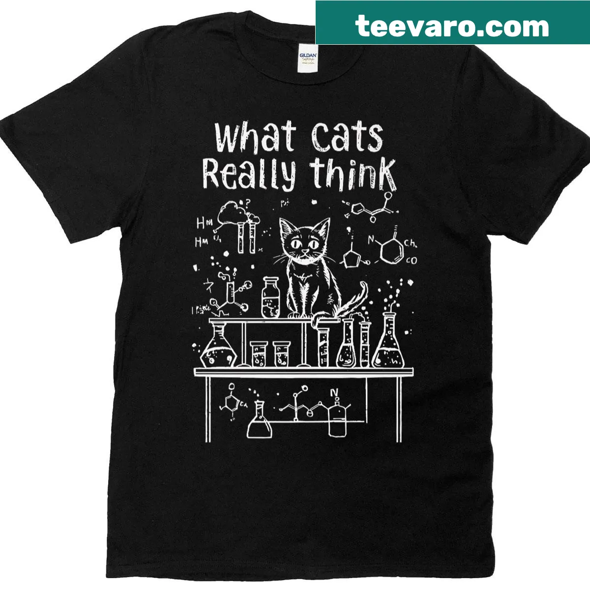 Funny physics-themed T-shirt for cat lovers with whimsical text — on a men's t-shirt