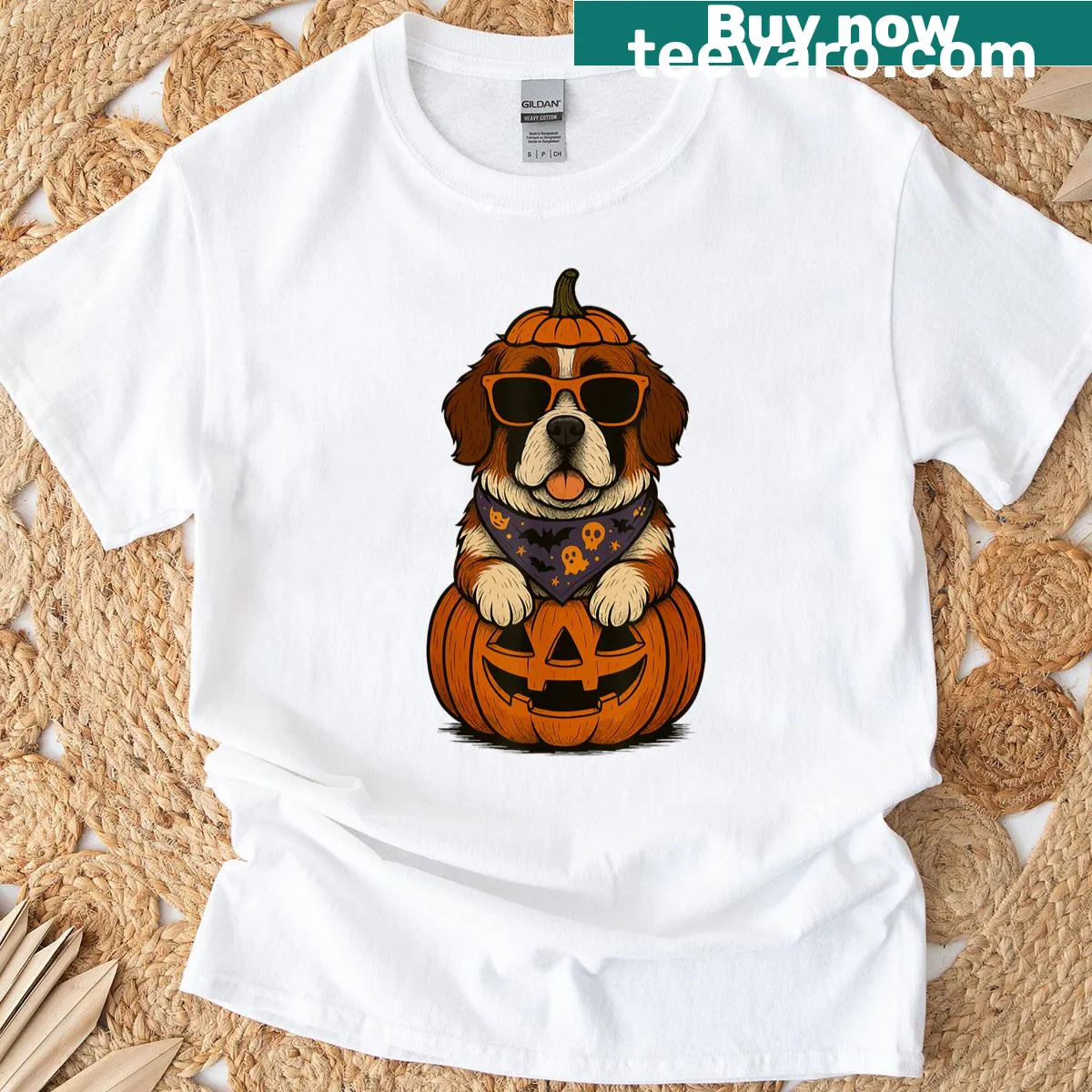 Cartoon Saint Bernard with pumpkins for Halloween on a T-shirt. — on a men's t-shirt
