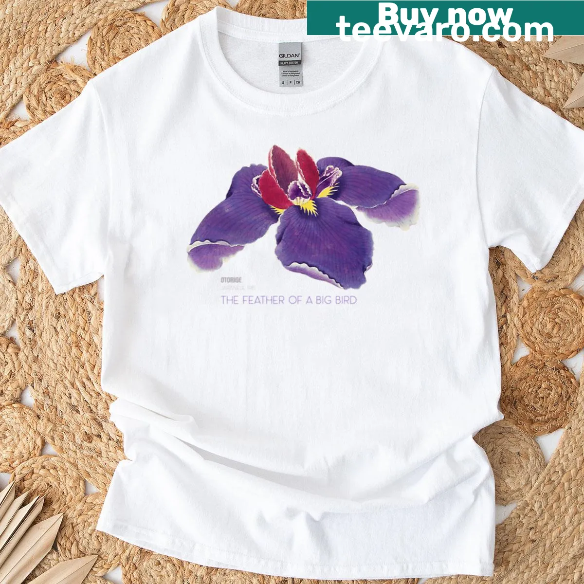 Illustrated t-shirt featuring a feather design symbolizing nature — on a men's t-shirt