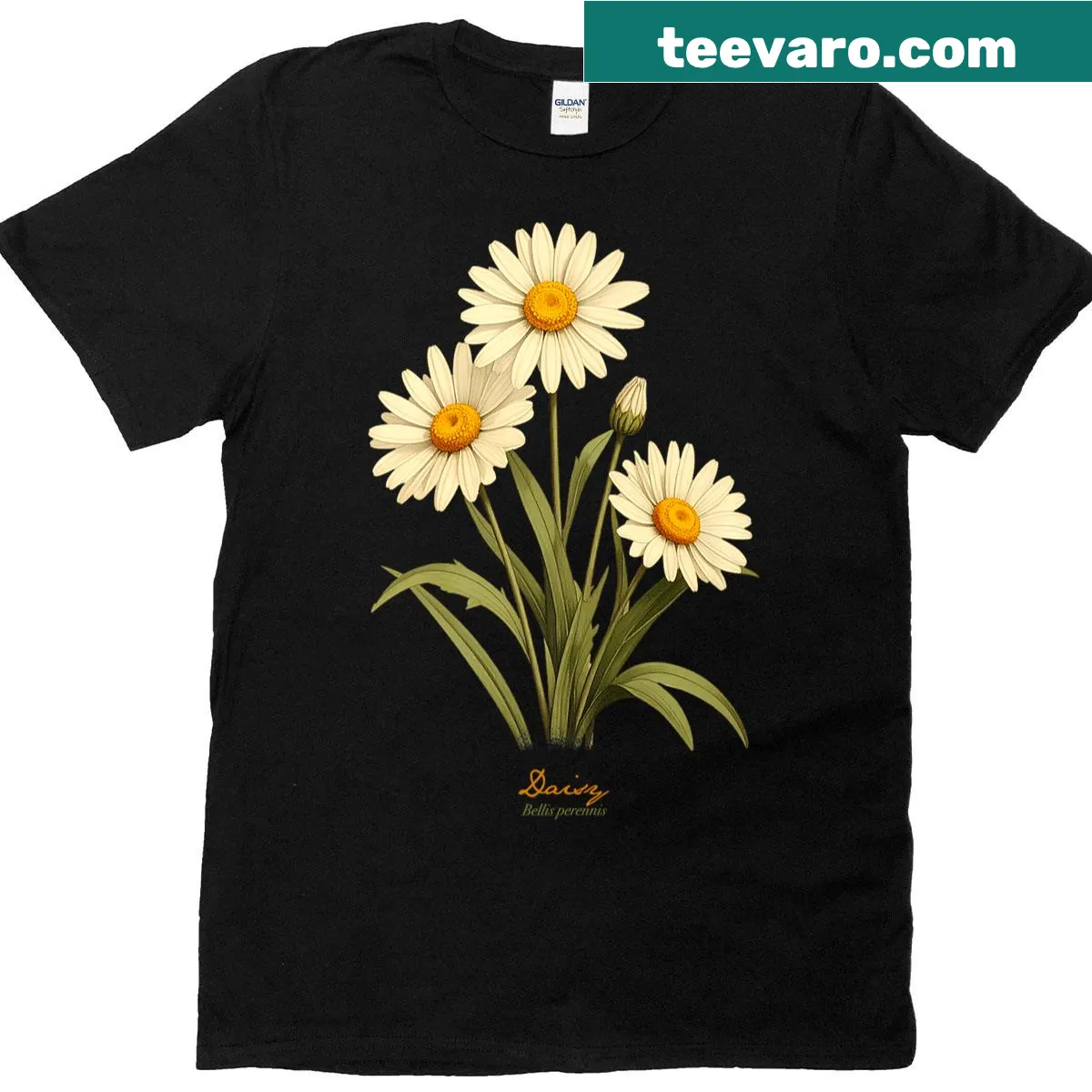 Vintage illustration of daisy flowers with scientific name — on a men's t-shirt