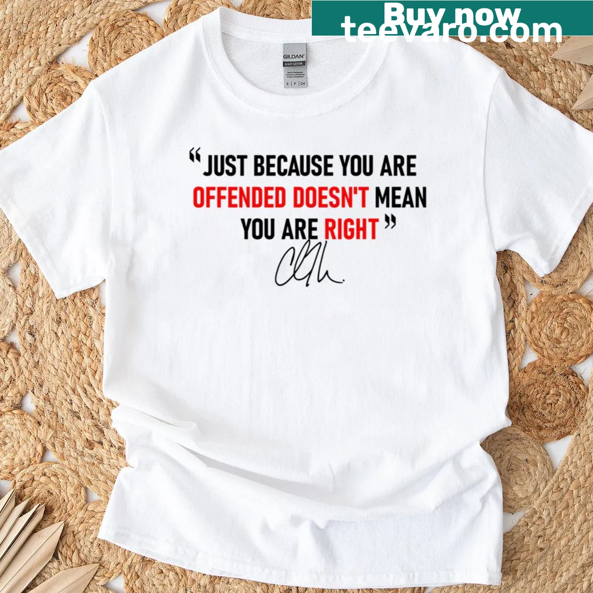 Freedom quotes t-shirt stating offense doesn't equal right — on a men's t-shirt