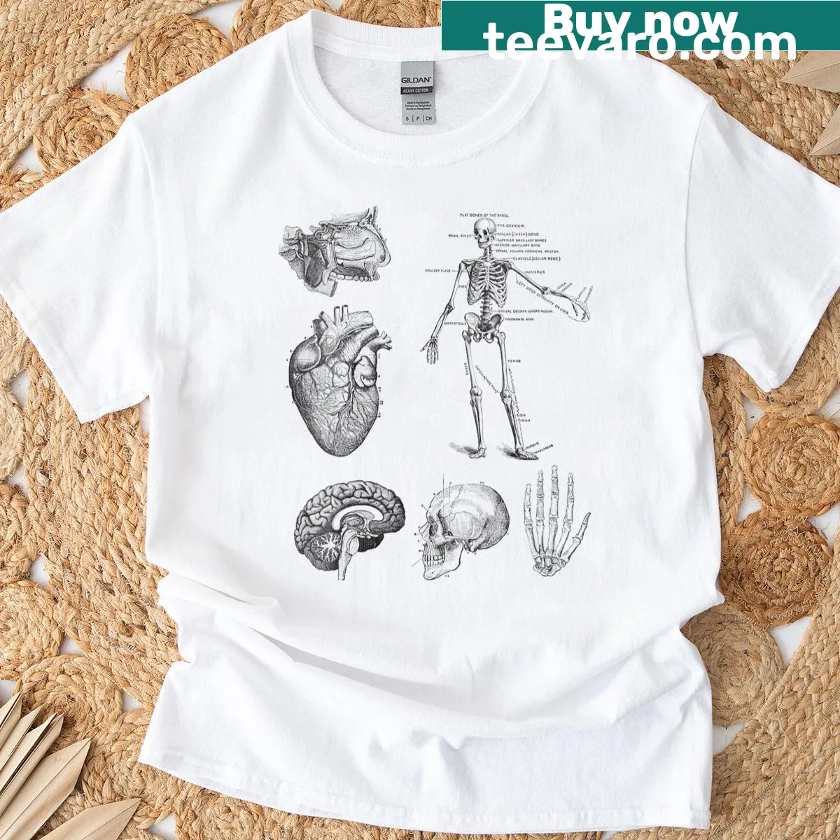Vintage anatomy illustrations T-shirt from antique medical books — on a men's t-shirt