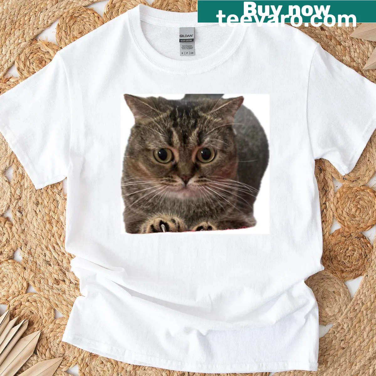 Cute T-shirt featuring a big-eyed curious cat portrait — on a men's t-shirt