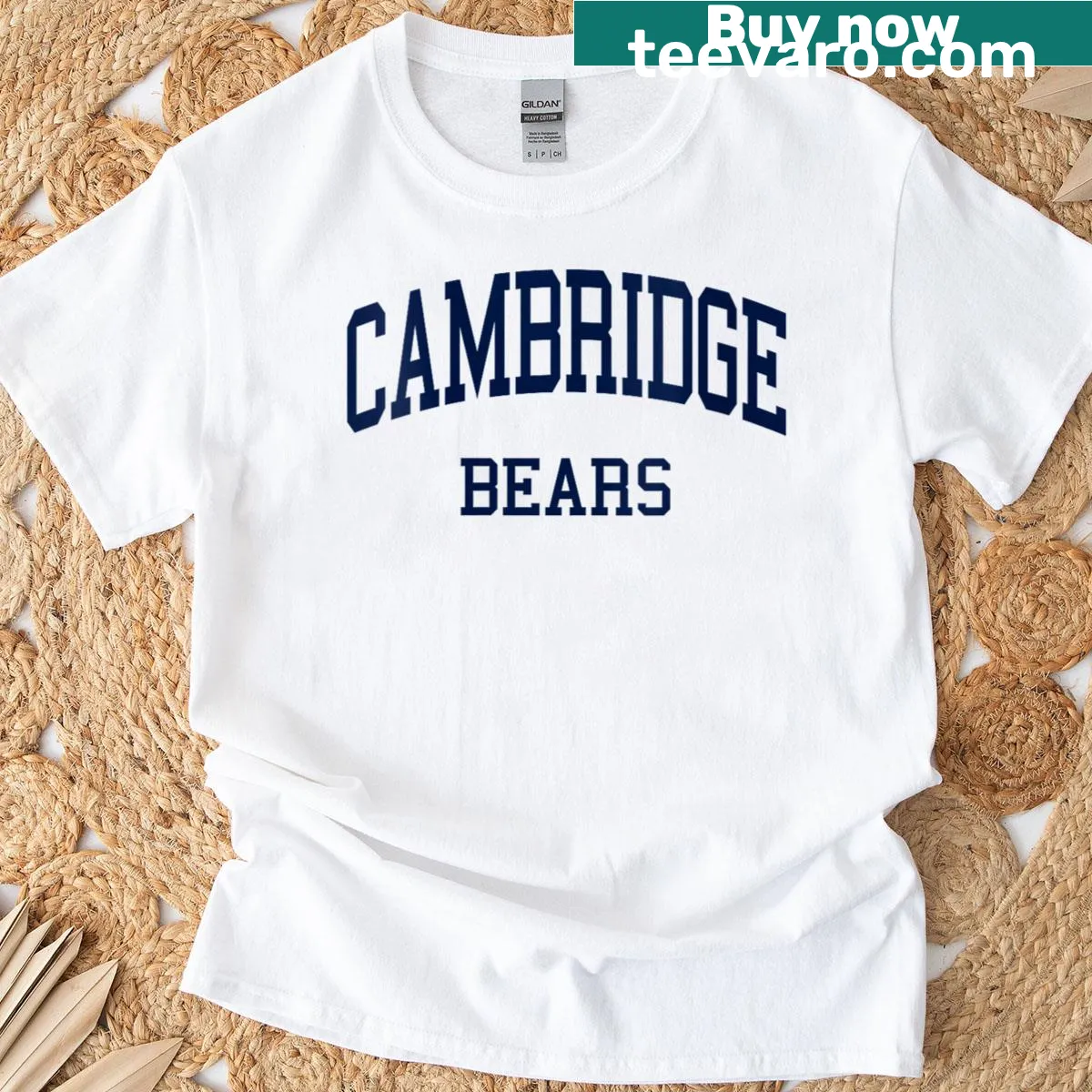 Retro T-shirt with Cambridge High School logo for nostalgic wear. — on a men's t-shirt