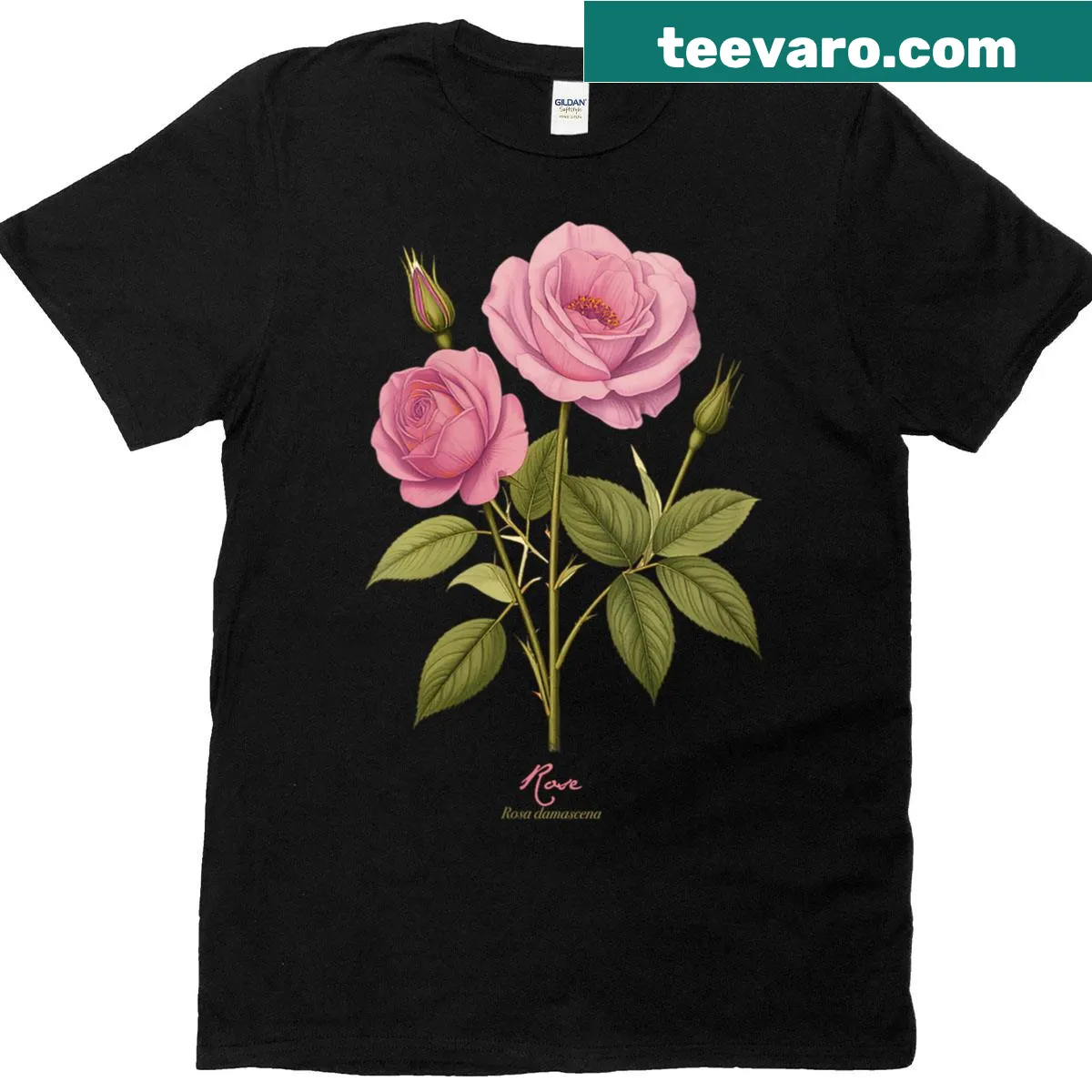 Vintage illustration T-shirt featuring a rose flower and scientific name — on a men's t-shirt