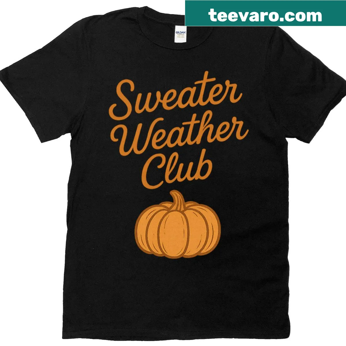 Illustrative graphic of various weather conditions on T-shirt. — on a men's t-shirt