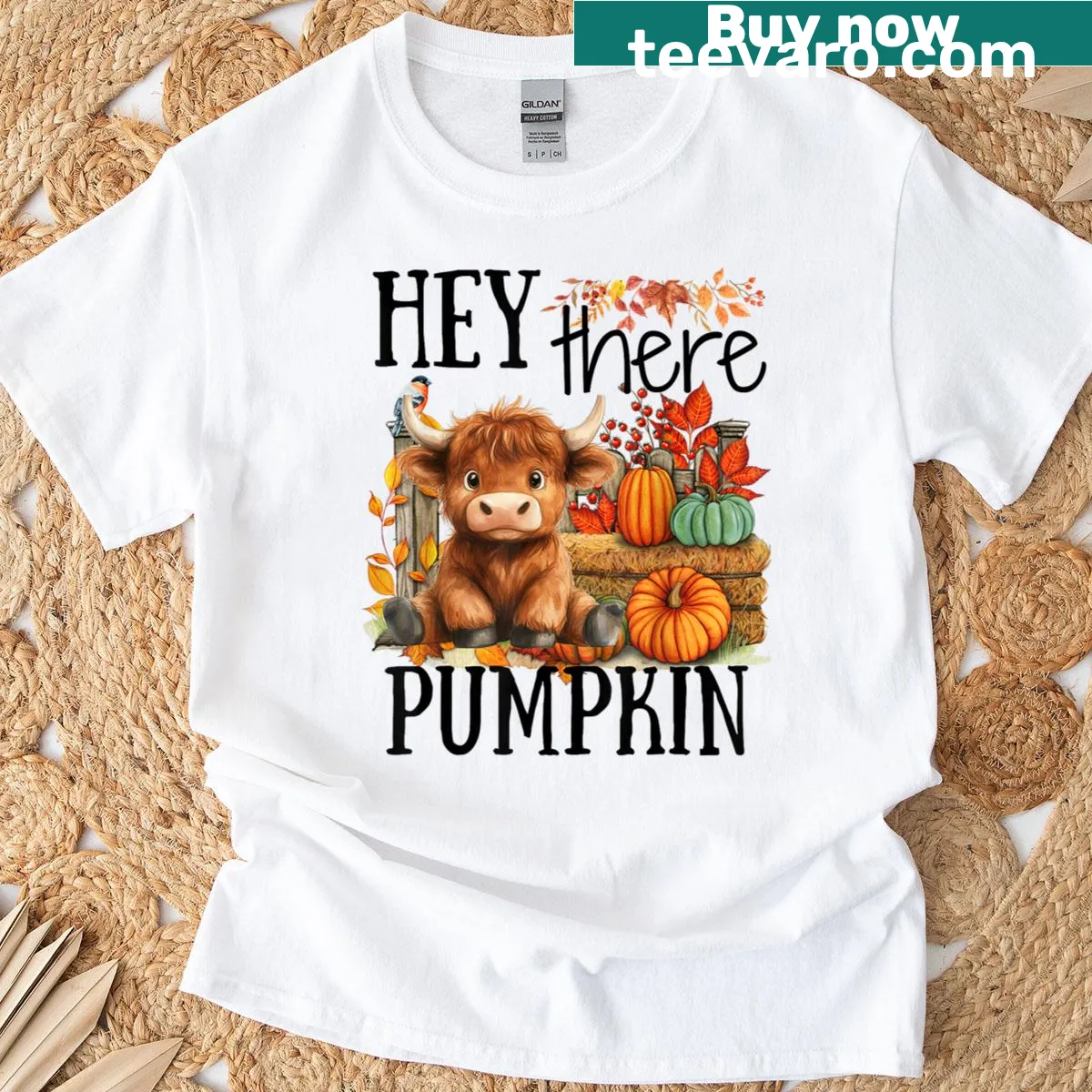 Cute Highland cow with pumpkin and 'Hey There Pumpkin' text graphic — on a men's t-shirt