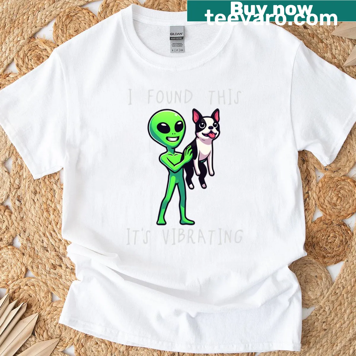 Funny Boston Terrier alien design with humorous text for kids — on a men's t-shirt