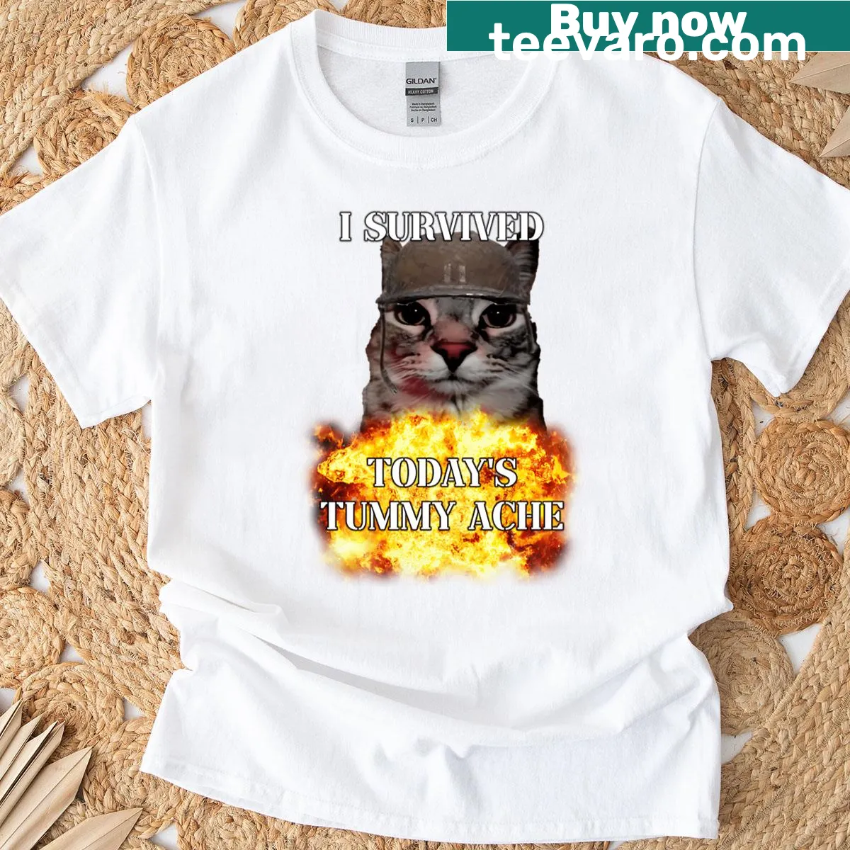 Funny cat meme t-shirt about tummy ache survival. — on a men's t-shirt