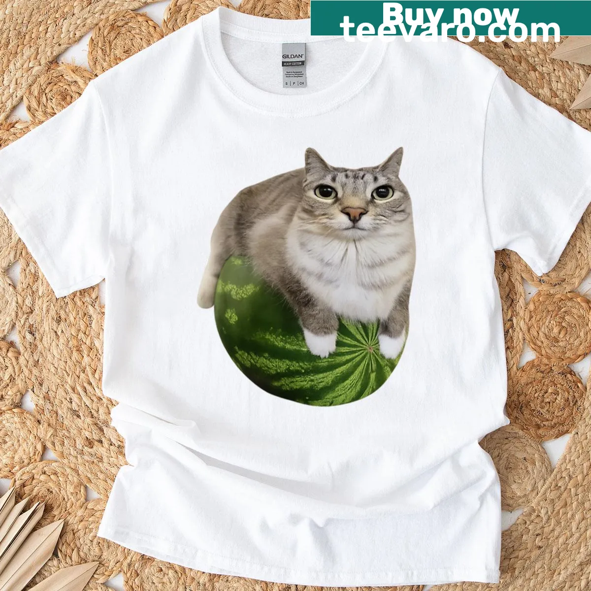 Silly cat meme t-shirt with a watermelon theme — on a men's t-shirt