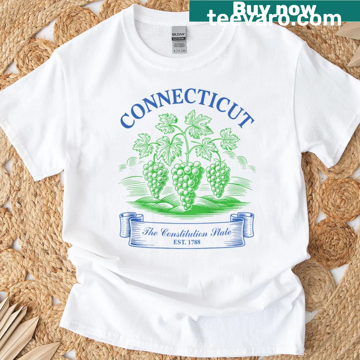 Vintage design featuring Connecticut's grapes and state emblem. — on a men's t-shirt