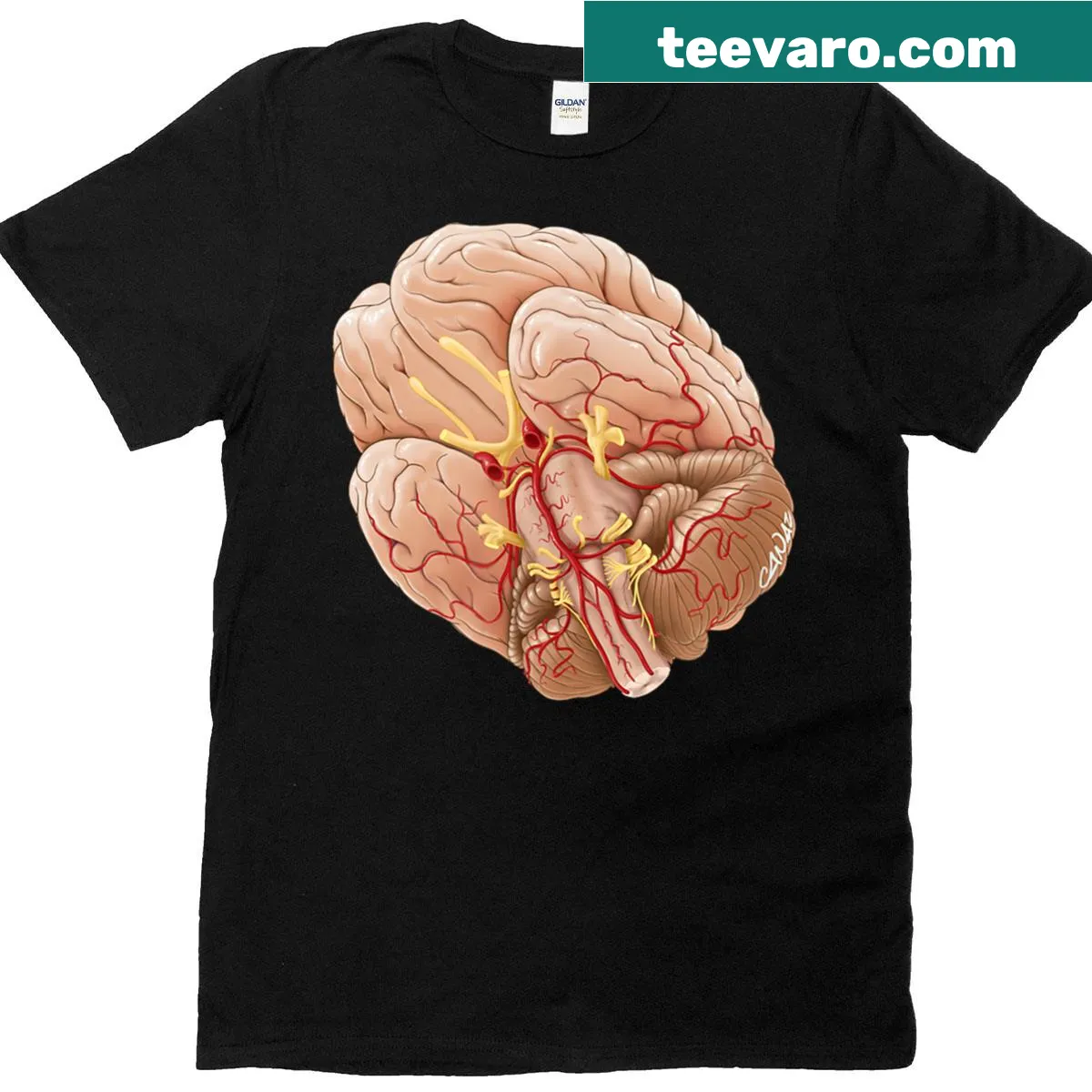 T-shirt with 'Brain - Base' typography design — on a men's t-shirt