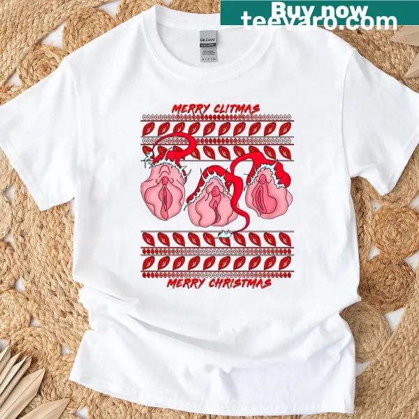 Edgy t-shirt with the phrase 'Sexy Christmas Vulvas'
