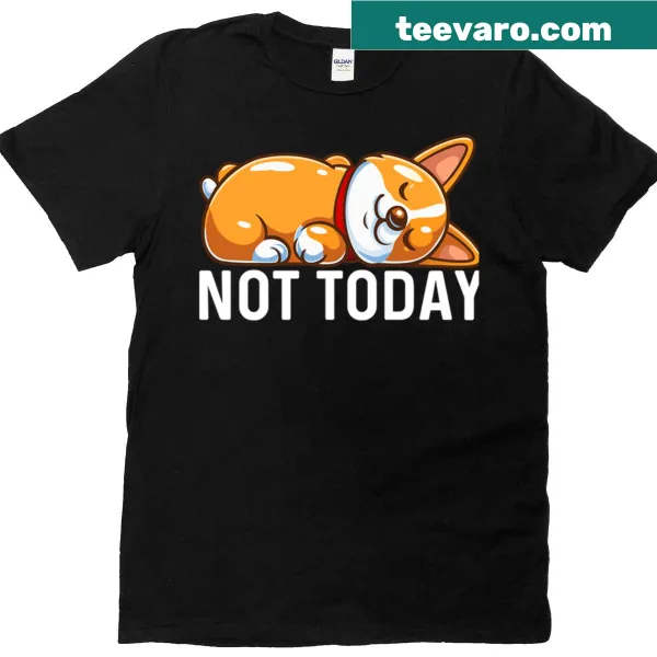 Funny corgi t-shirt with 'Not Today' phrase and cartoon design