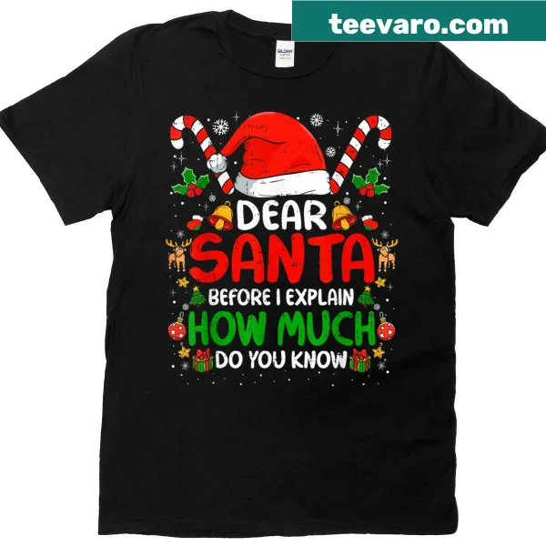 Funny Christmas T-shirt with playful message for Santa