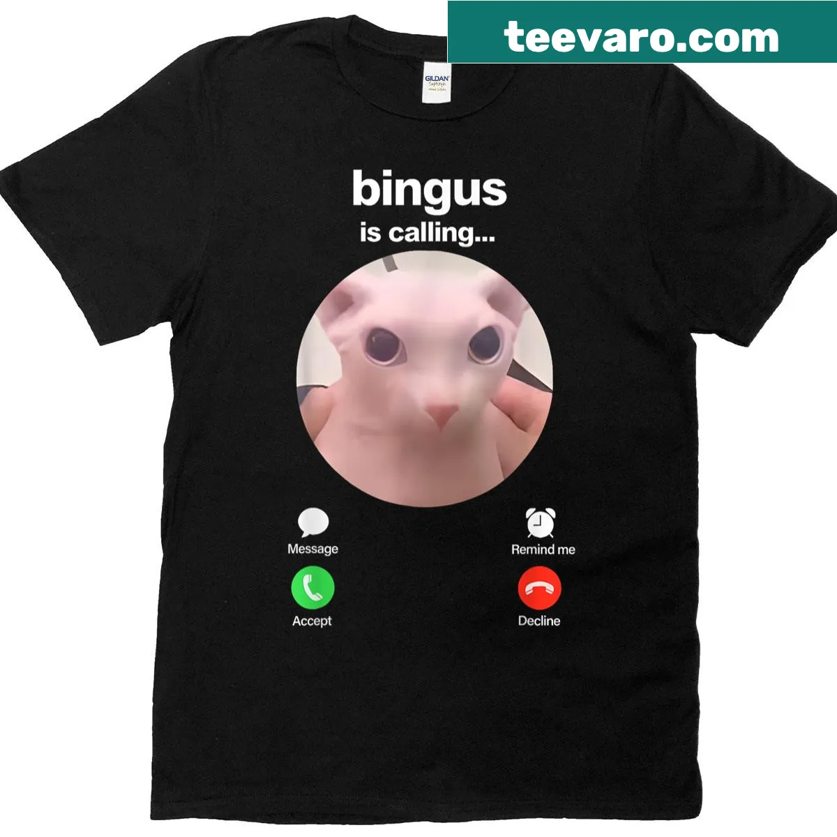 Meme-inspired t-shirt featuring a hairless Sphinx cat with the phrase Bingus Is Calling — on a men's t-shirt