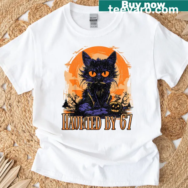 Funny black cat and pumpkin Halloween meme graphic