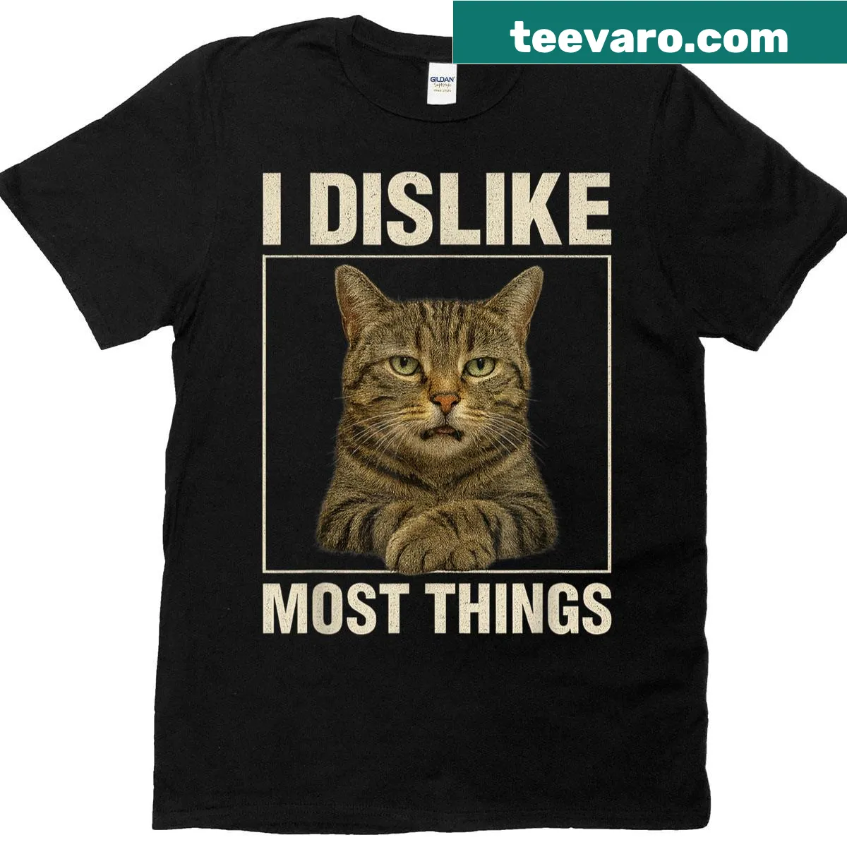 Funny cat lover t-shirt with humorous saying about dislikes — on a men's t-shirt