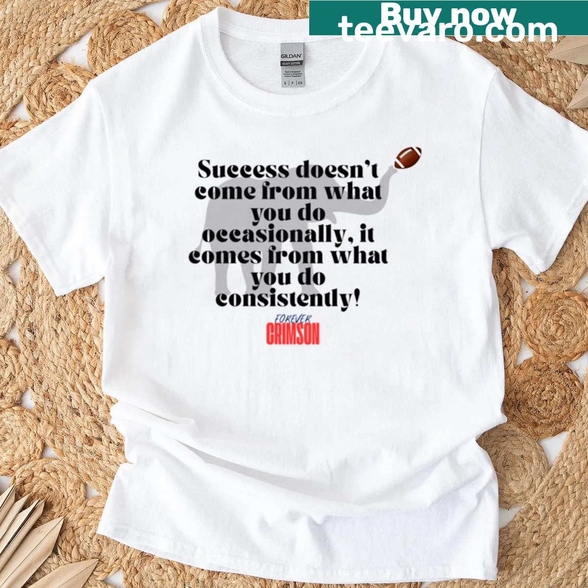 Motivational quote tee with the text Success Doesn't Come From What You Do Occasionally — on a men's t-shirt