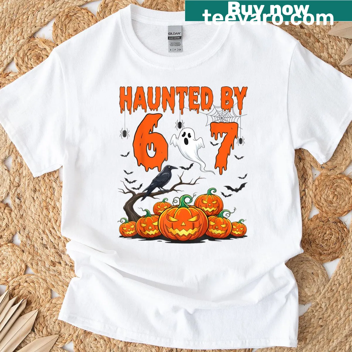 Funny Halloween T-shirt with the phrase 'Haunted By 67'. — on a men's t-shirt