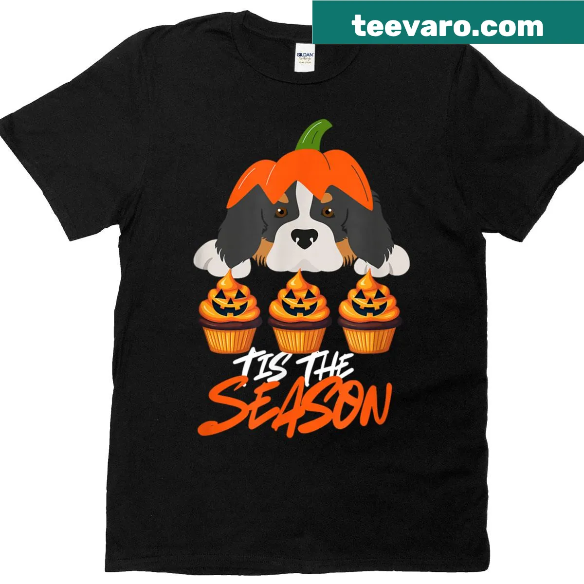 Funny Halloween t-shirt with a Bernese Mountain Dog and pumpkins. — on a men's t-shirt