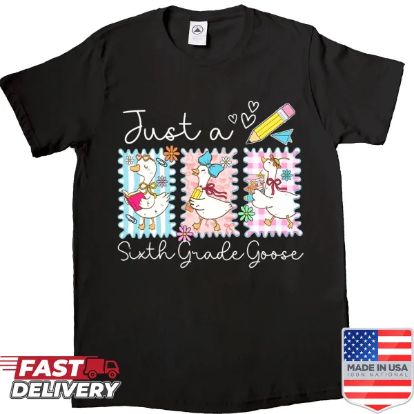 Funny sixth grade goose graphic t-shirt for students