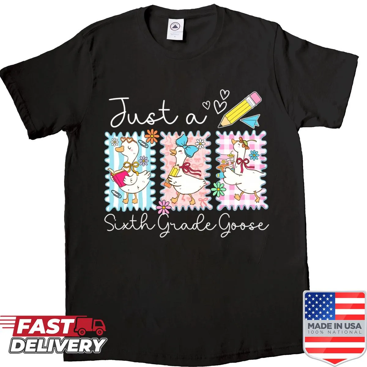 Funny sixth grade goose graphic t-shirt for students