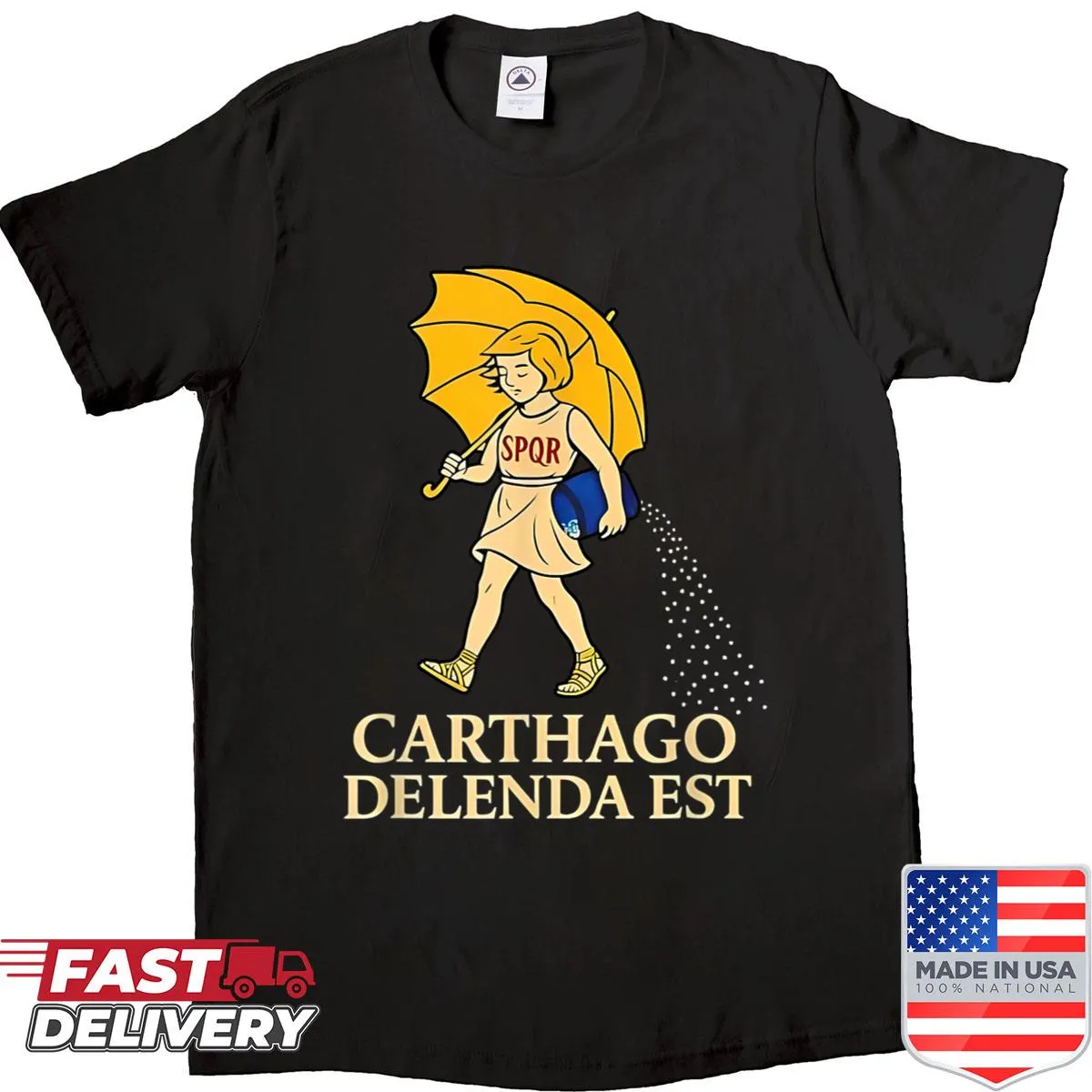 Retro design shirt with 'Carthago Delenda Est' text