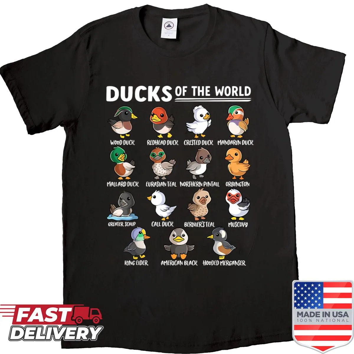 Cute illustrations of various ducks and geese on a kids' educational shirt.