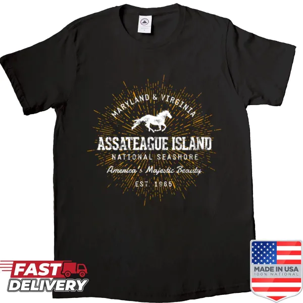 Whimsical graphic design inspired by Assateague Island on shirt