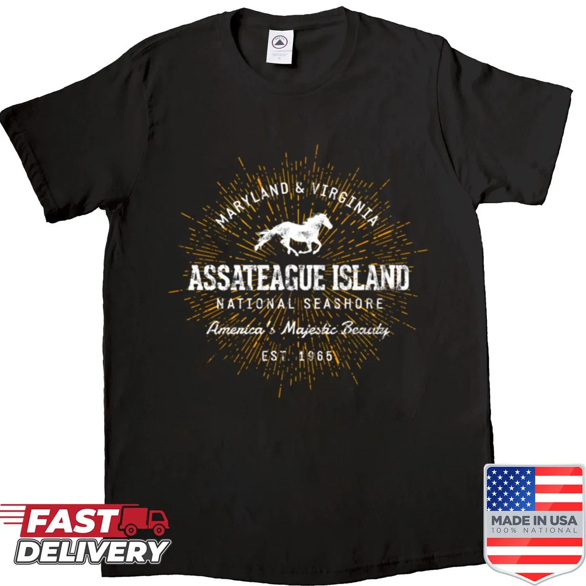Whimsical graphic design inspired by Assateague Island on shirt