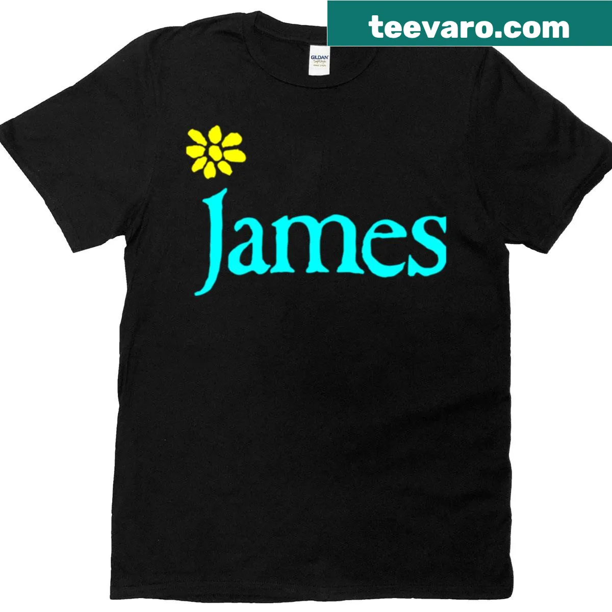 Vintage James Band t-shirt with classic logo — on a men's t-shirt