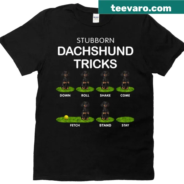 Funny dachshund t-shirt with cute illustration and text